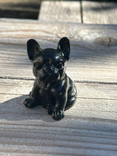 Charger l'image dans la galerie, Bull Dog
