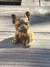 Charger l'image dans la galerie, Bull Dog
